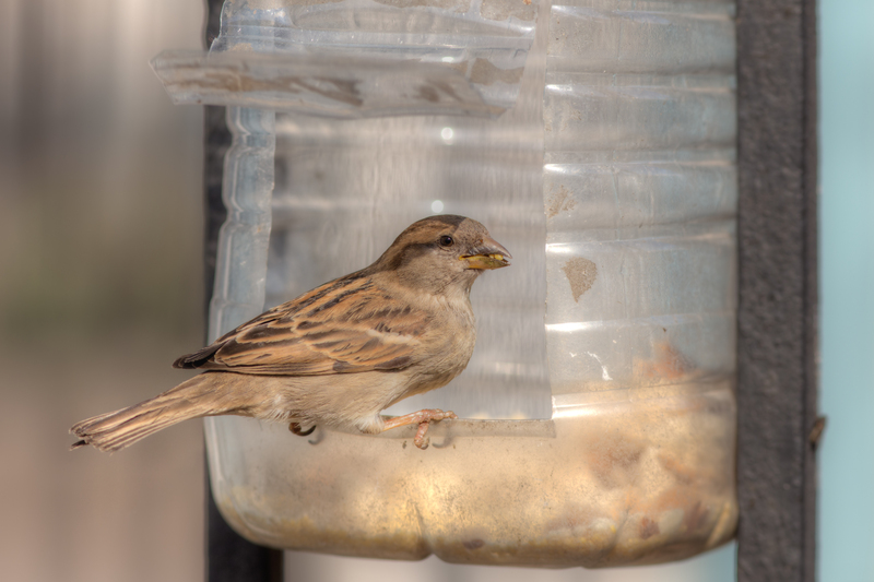 Microplastic Pollution Solutions: A Global Urgency